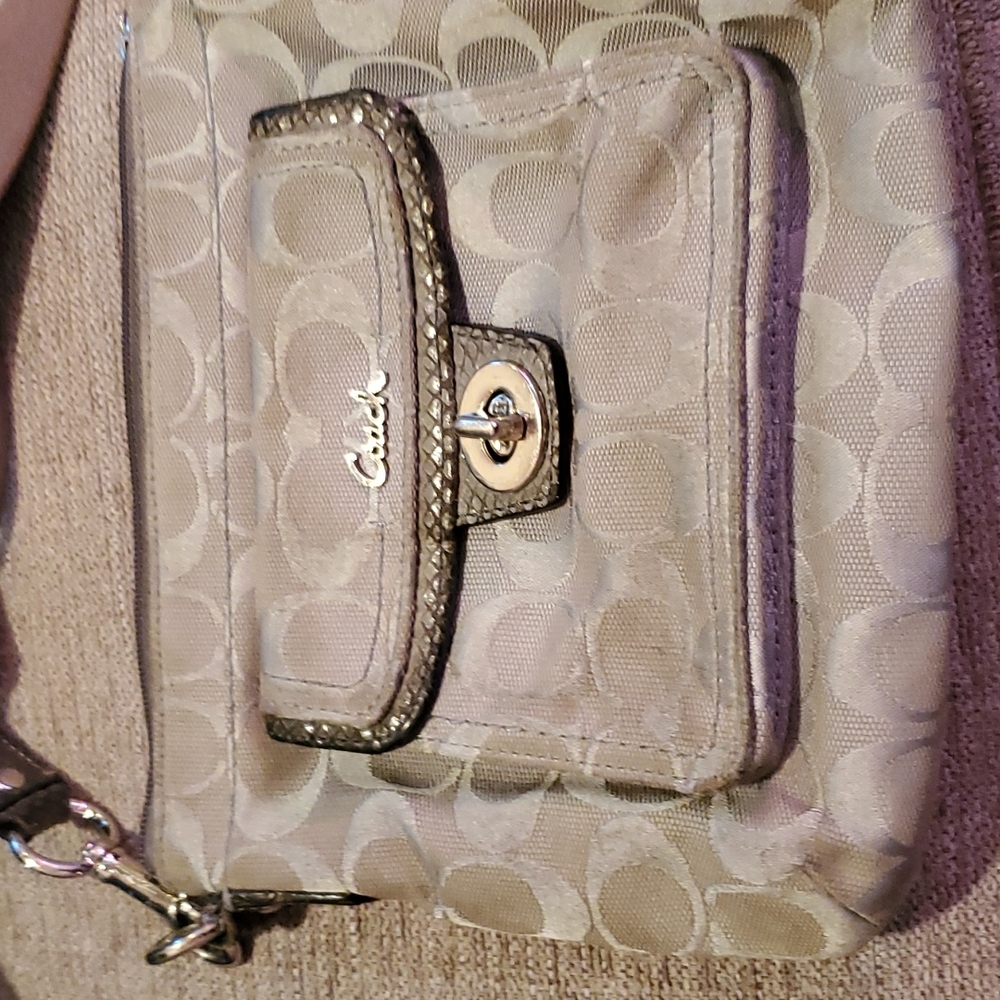 Small Grey coach